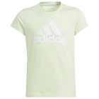 SEGRSP/WHITE